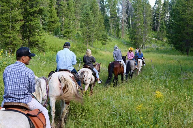 Teton View Horse Riding with Lunch - A short ride with a full mountain setting