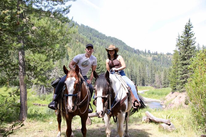 Teton View Horse Riding with Lunch - Who should book this ride?