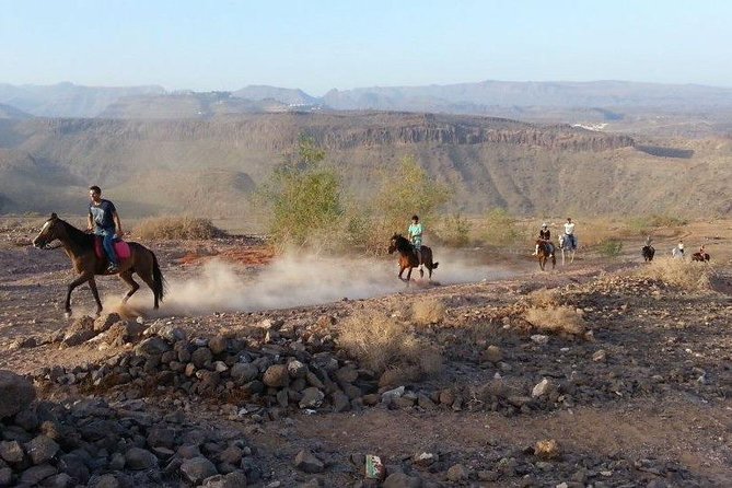 The Best Horse Riding Experience in Gran Canaria (1 hour) - Timing, group size, and the hotel pickup