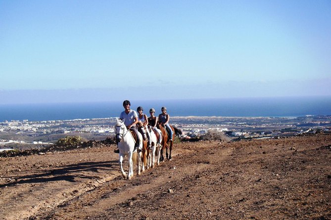 The Best Horse Riding Experience in Gran Canaria (2 hours) - Quick takeaways for your Gran Canaria ride