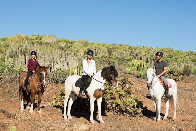 The Best Horse Riding Experience in Gran Canaria (2 hours) - The trail and the view over Maspalomas
