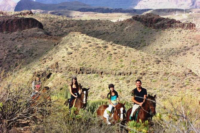 The Best Horse Riding Experience in Gran Canaria (2 hours) - The horses and animal care