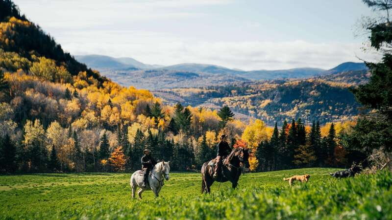 The Montagnarde: Guided horseback ride on mountain trails. - The 2.5-hour ride through rustic trails