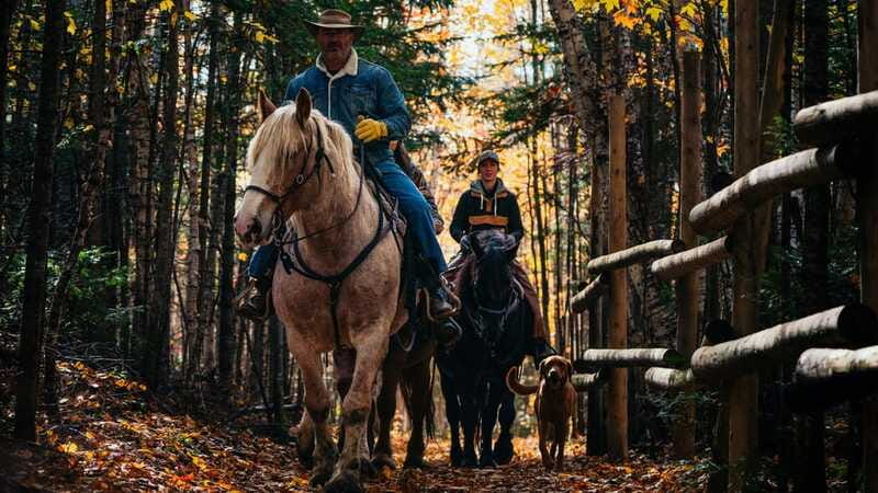 The Montagnarde: Guided horseback ride on mountain trails. - Clothing and comfort matter