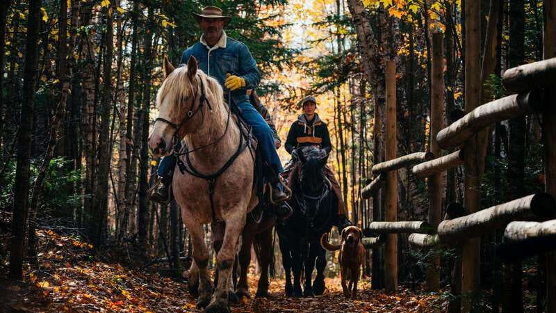 The Montagnarde: Guided horseback ride on mountain trails. - Who should book The Montagnarde?