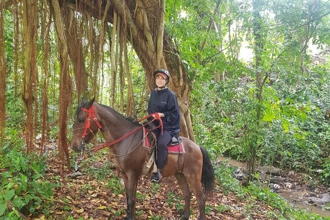 The Ultimate Dominican Horseback Riding Adventure - Leaving Punta Cana for the Dominican Countryside