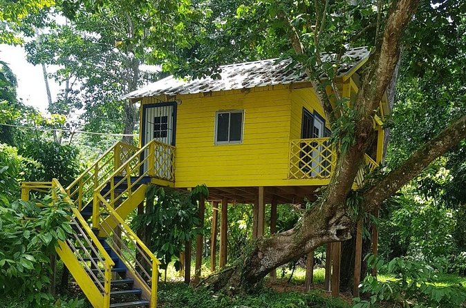 The Ultimate Dominican Horseback Riding Adventure - Cocoa, Tropical Fruit, and the Paso Higüeyano