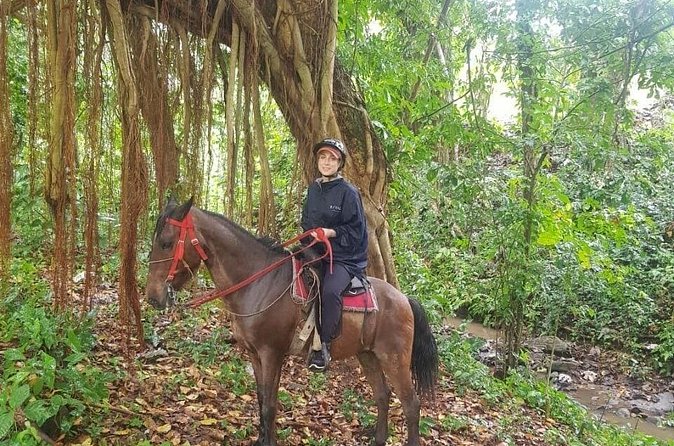 The Ultimate Dominican Horseback Riding Adventure - Who Will Enjoy This Ride Most?