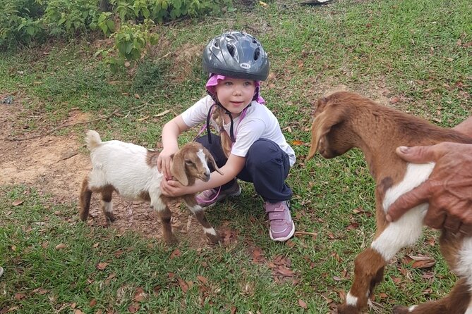 The Ultimate Dominican Horseback Riding Adventure - Reaching the Mountain Viewpoint