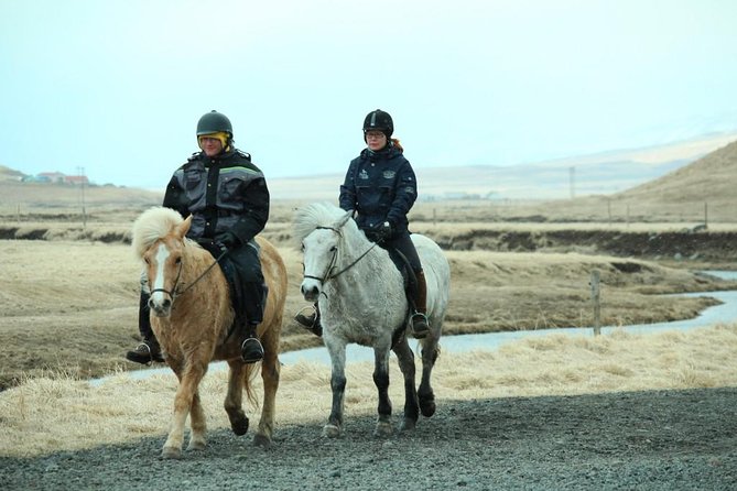 The Viking Horse Riding Experience in North Iceland - What the guides add to the ride