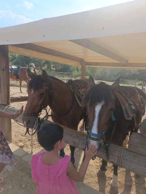 Thessaloniki:Horse Riding in a farm - Leaving Thessaloniki for a quieter setting