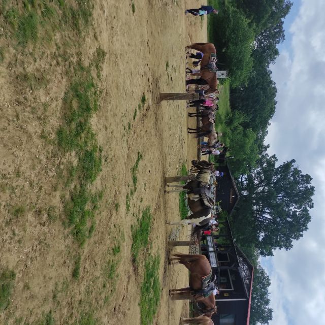 Thessaloniki:Horse Riding in a farm - Meeting the horses and learning the basics
