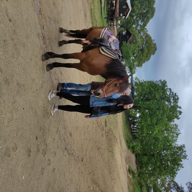 Thessaloniki:Horse Riding in a farm - Food, drinks, and time around the farm