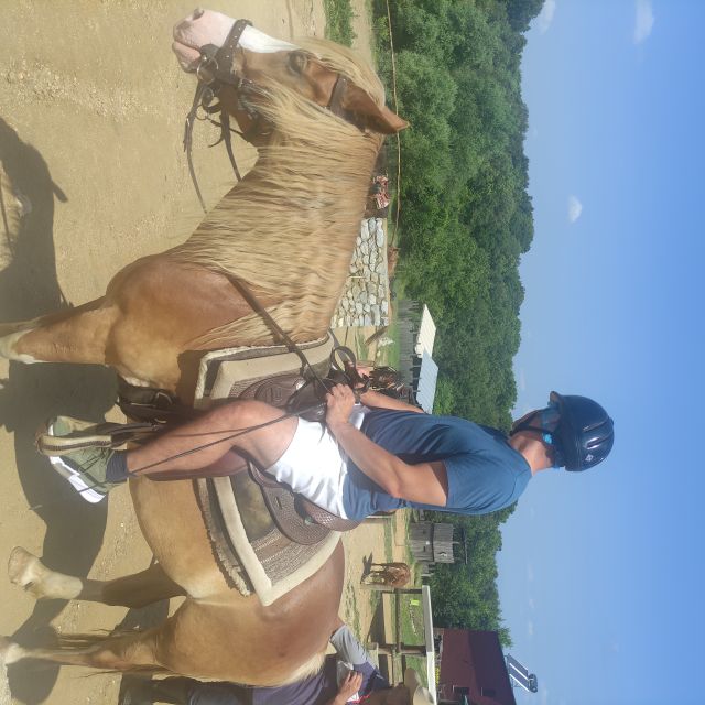 Thessaloniki:Horse Riding in a farm - Practical advice before you reserve