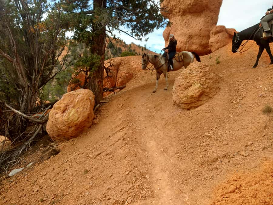 Thunder Mountain Trail: Scenic Horseback Ride - Key points to know before booking