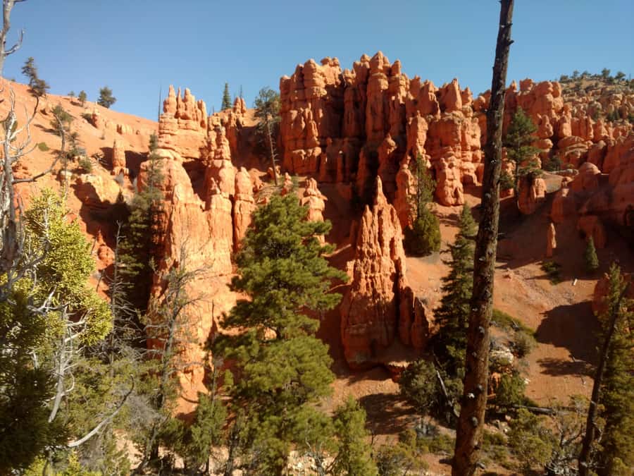 Thunder Mountain Trail: Scenic Horseback Ride - What the four-and-a-half-hour outing is really like