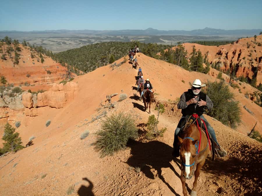 Thunder Mountain Trail: Scenic Horseback Ride - Forest first, red rock next