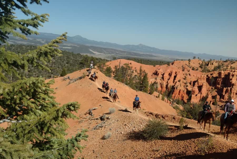 Thunder Mountain Trail: Scenic Horseback Ride - Who will enjoy this ride most?