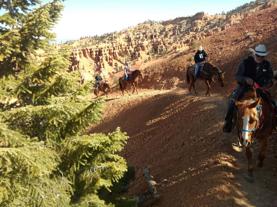 Thunder Mountain Trail: Scenic Horseback Ride - Why horseback changes the view