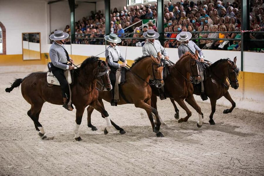 Torremolinos: Spanish horse and flamenco show - Key points to know before booking