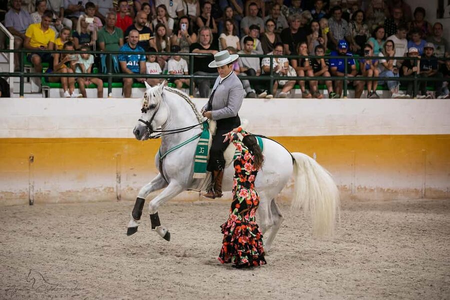 Torremolinos: Spanish horse and flamenco show - Arriving at El Ranchito in Torremolinos