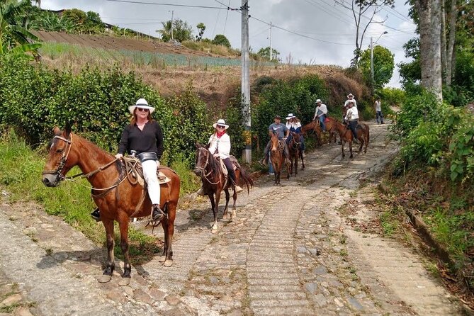 Tour Cabalgata - Choosing the right trail for your riding ability