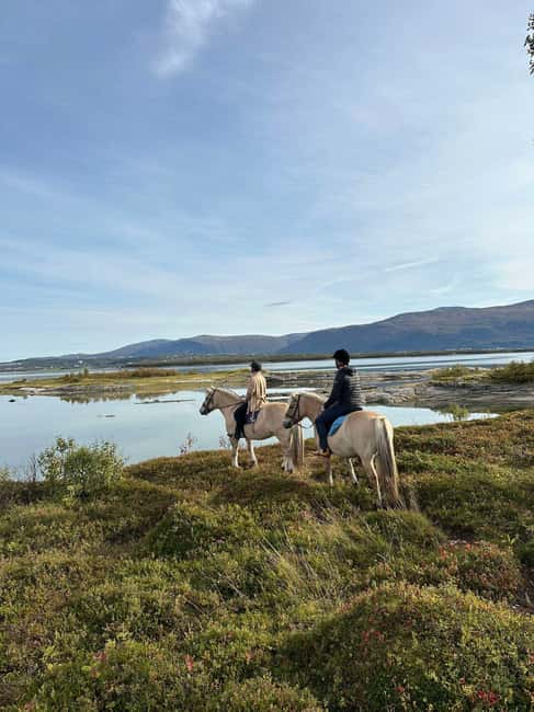 Tromsø: Horseback Riding Tour - Key points to know before you book