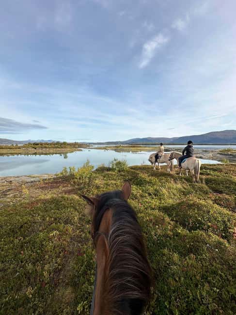 Tromsø: Horseback Riding Tour - From Tromsø to Mari Sletta Farm