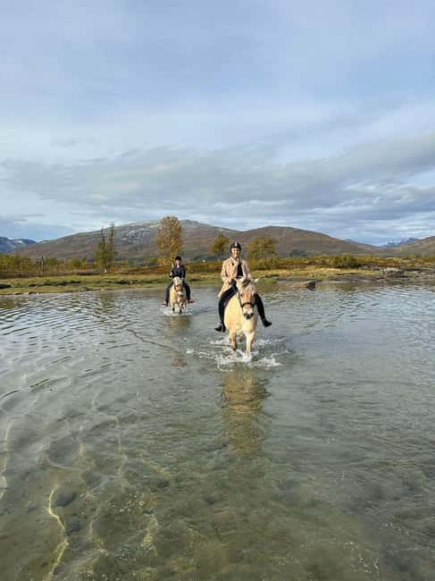 Tromsø: Horseback Riding Tour - Two Hours Through Forest, Shore, and Fjord Country