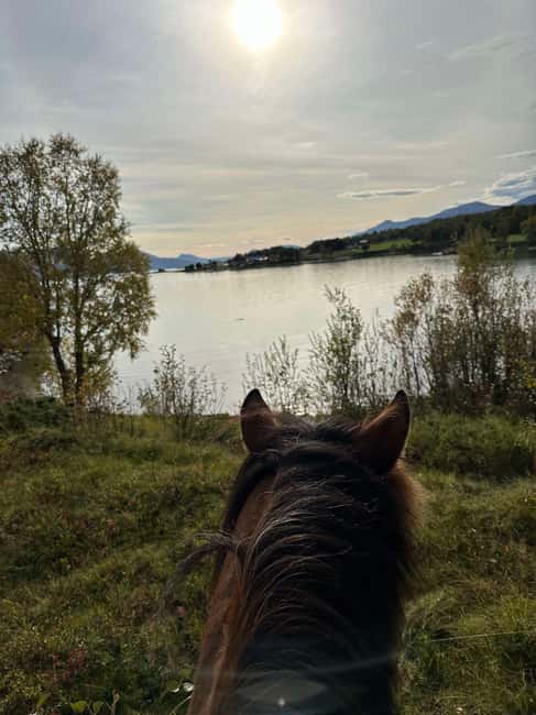 Tromsø: Horseback Riding Tour - Who Will Enjoy This Ride Most
