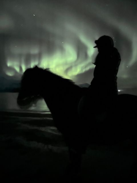 Tromsø: Lyngen Horse Winter Evening Riding Experience - Practical preparation before you go