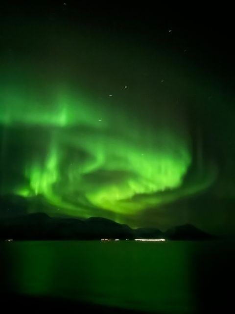 Tromsø: Lyngen Horse Winter Evening Riding Experience - Why the Lyngen horse makes this tour different
