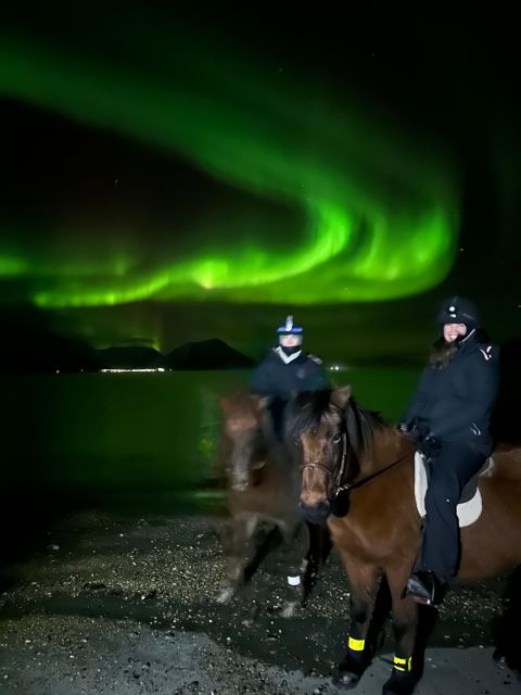 Tromsø: Lyngen Horse Winter Evening Riding Experience - The safety briefing sets the tone