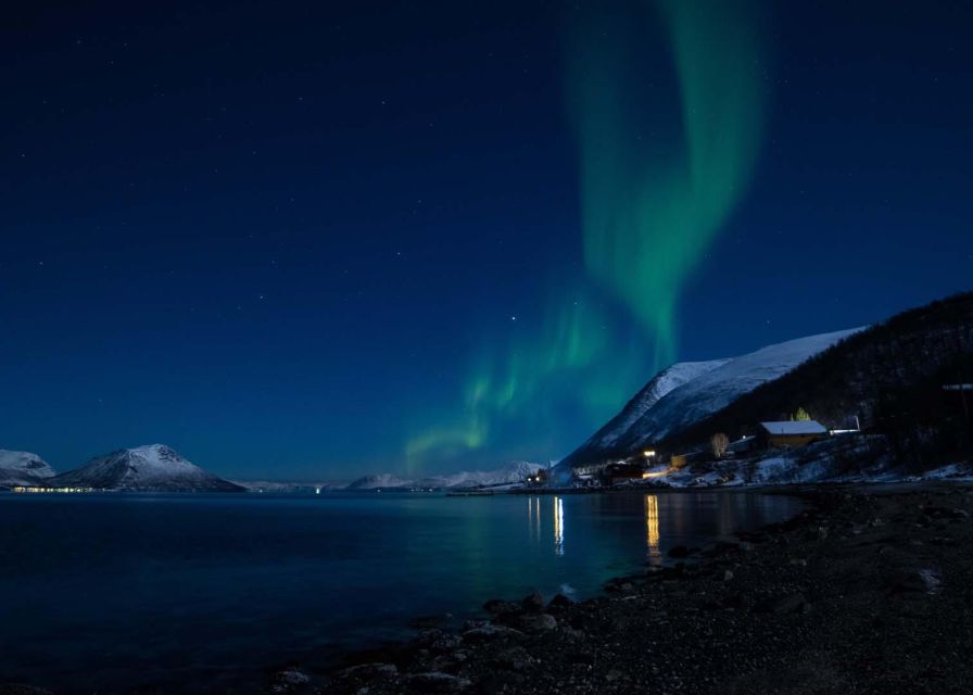 Tromsø: Lyngen Horse Winter Evening Riding Experience - Riding beneath the open Arctic sky