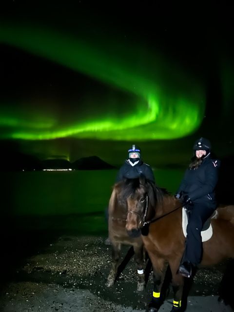 Tromsø: Lyngen Horse Winter Evening Riding Experience - Who should book this evening ride?