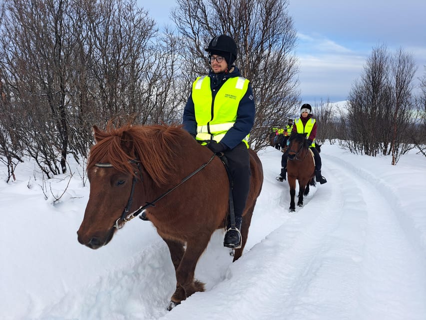 Tromsø: Lyngen Horse Winter Riding Experience - Key points to know before booking