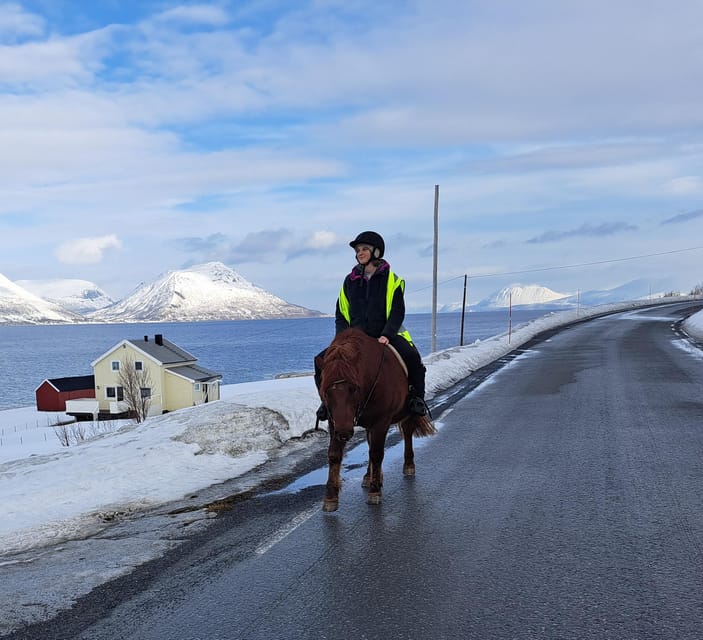 Tromsø: Lyngen Horse Winter Riding Experience - Sixty minutes along the Arctic road