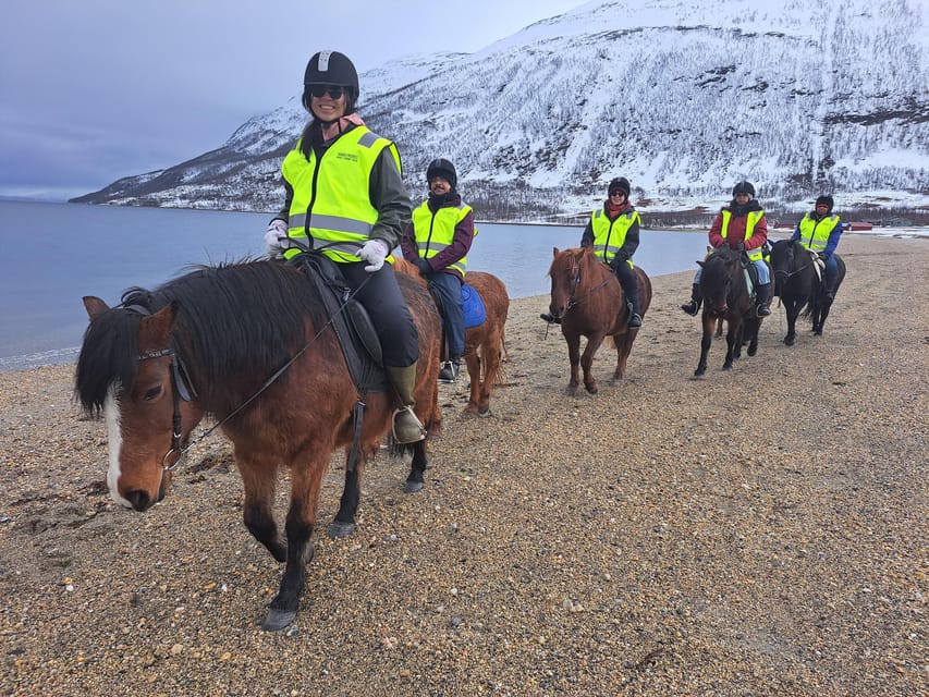 Tromsø: Lyngen Horse Winter Riding Experience - Stories of the farm and the Second World War