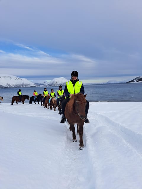 Tromsø: Lyngen Horse Winter Riding Experience - Practical advice for a smooth visit