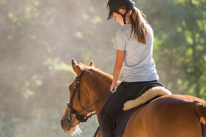 Tulum Jungle Horseback Ride + ATV + Ziplines + Cenote Combo Tour - What the $125 Package Actually Gives You