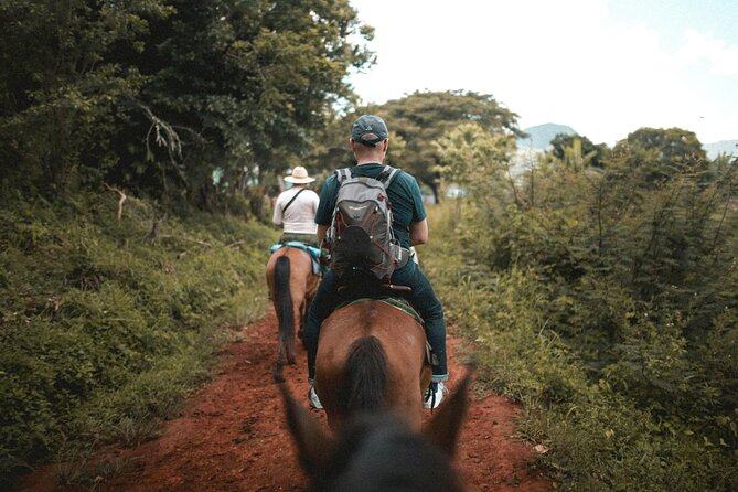 Tulum Jungle Horseback Ride + ATV + Ziplines + Cenote Combo Tour - Four Ziplines and a Long Jungle Run