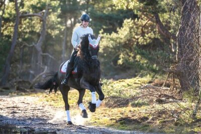 Tulum Jungle Horseback Ride + ATV + Ziplines + Cenote Combo Tour