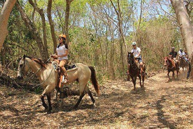 Tulum Jungle Horseback Ride + ATV + Ziplines + Cenote Combo Tour - Wall Rappelling: Short but Included