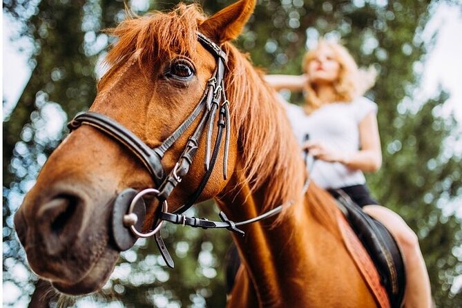 Tulum Jungle Horseback Ride + Cenote Dip & Traditional Lunch - Is $109 a fair price?