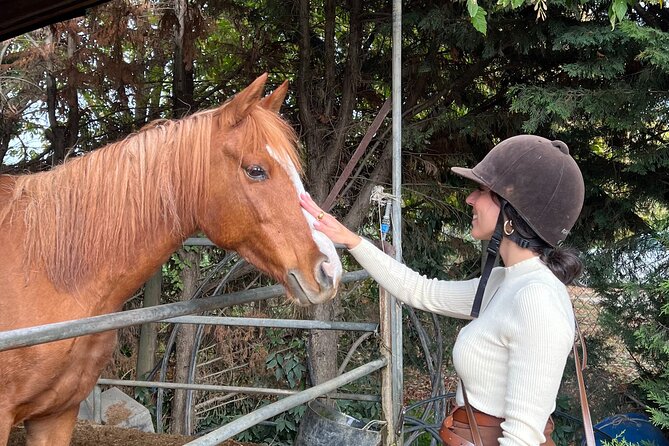 Tuscan Chianti Hills Horseback Riding Tour - Leaving Siena for the Chianti countryside