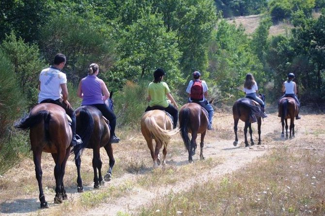 Tuscan Chianti Hills Horseback Riding Tour - Meeting your horse and getting ready