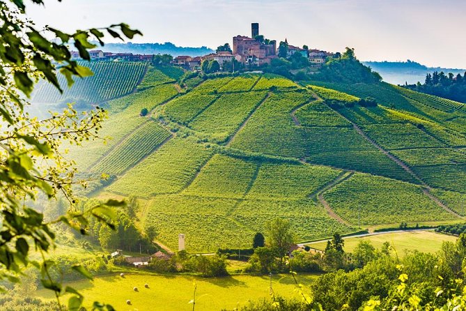 Tuscan Chianti Hills Horseback Riding Tour - Returning to the stable and caring for the horse