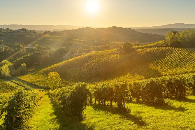 Tuscan Chianti Hills Horseback Riding Tour - Who will enjoy this Siena ride most