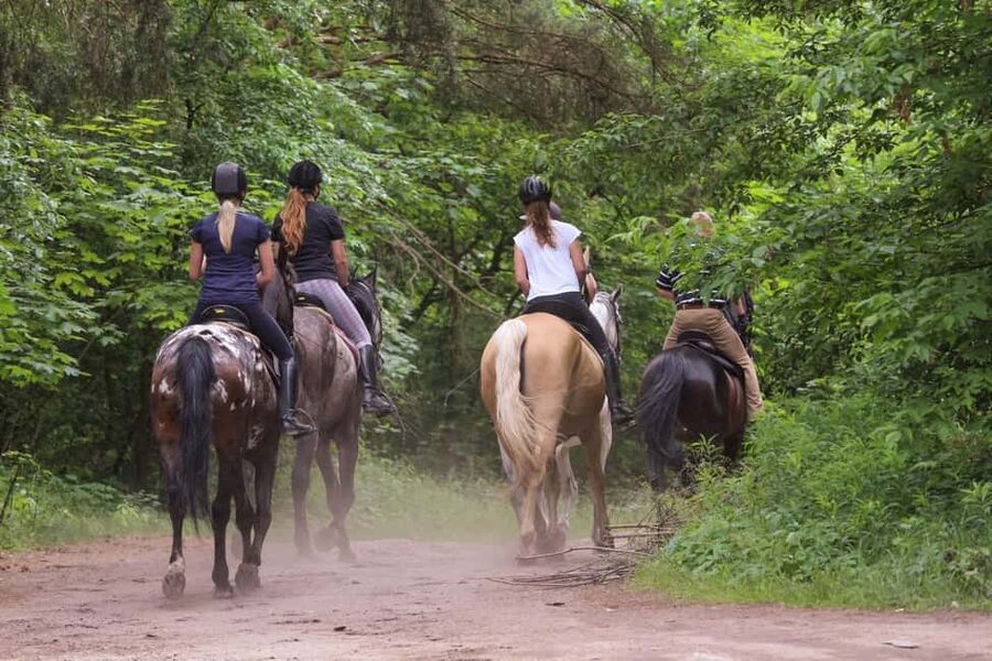 Tuscany: Horseback Riding Adventure with Lunch in a Winery - Booking, cancellation, and timing advice