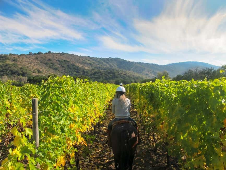 Tuscany: Horseback Riding Adventure with Lunch in a Winery - Leaving Florence for the San Gimignano countryside